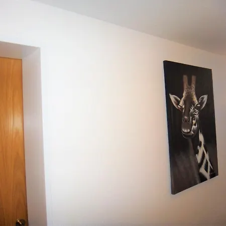 Bodenseehotel 3* Λιντάου